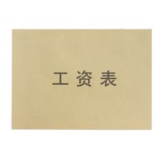 赢信 16K 工资表 50页 260mm&times;190mm